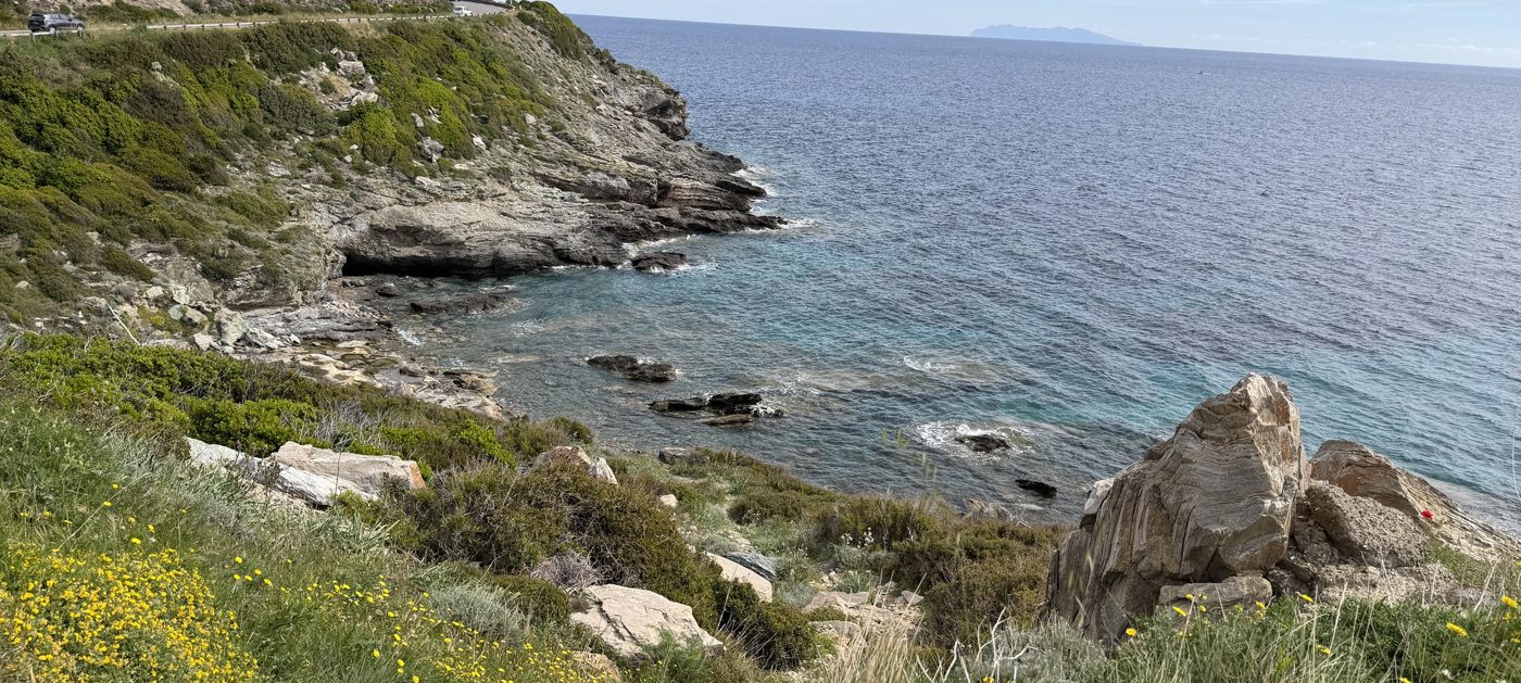 Costa rocciosa con mare e ginestre in fiore
